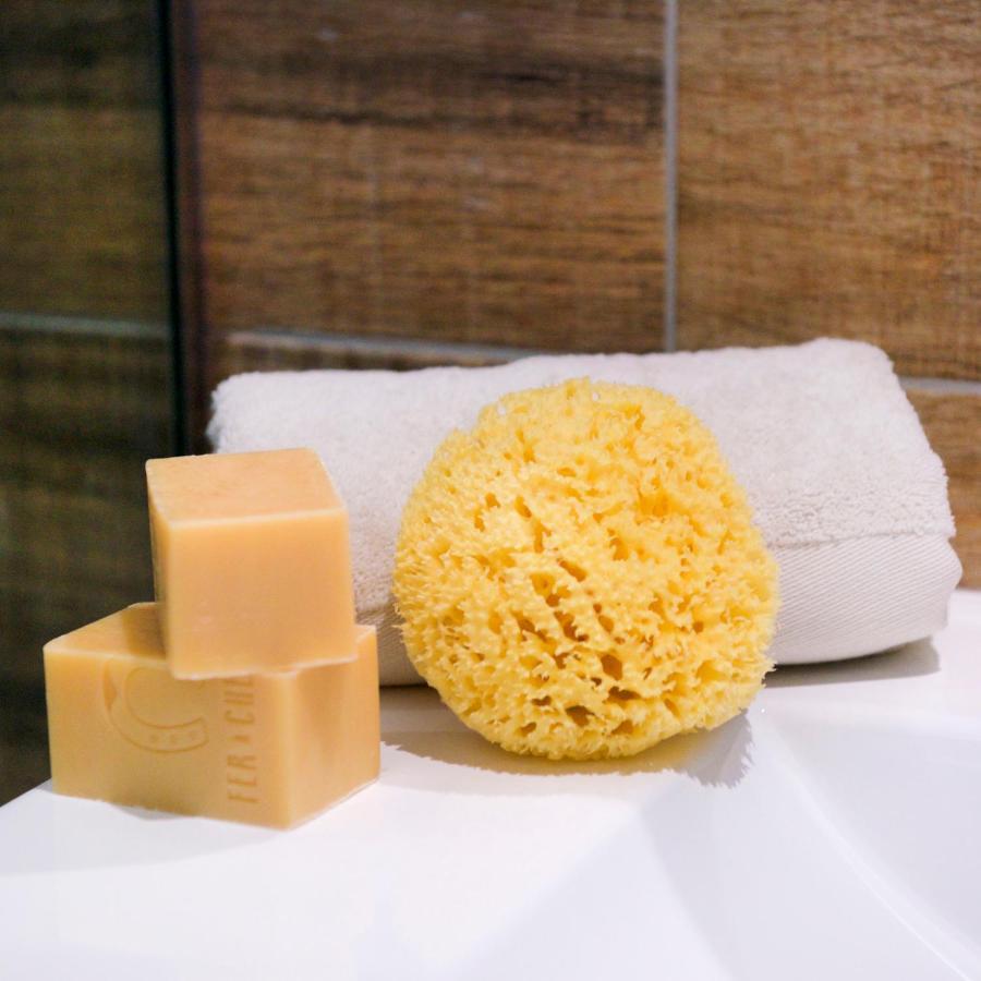Apartamento De Diseno En Casco Antiguo 阿尔啼 外观 照片